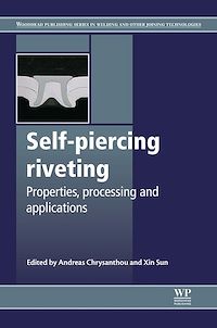 Téléchargez le livre :  Self-Piercing Riveting