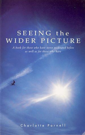 Download the eBook: Seeing The Wider Picture