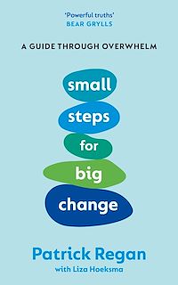Download this ebook Small Steps for Big Change