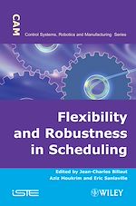 Download this eBook Flexibility and Robustness in Scheduling