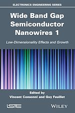 Download this eBook Wide Band Gap Semiconductor Nanowires 1