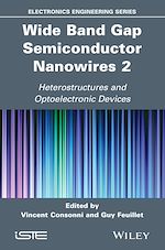 Download this eBook Wide Band Gap Semiconductor Nanowires 2