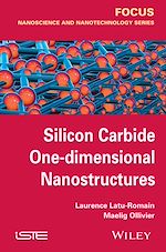 Download this eBook Silicon Carbide One-dimensional Nanostructures