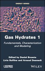 Download this eBook Gas Hydrates 1