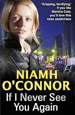 Download this eBook If I Never See You Again