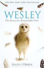 Download this eBook Wesley
