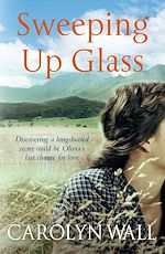 Télécharger le livre :  Sweeping Up Glass