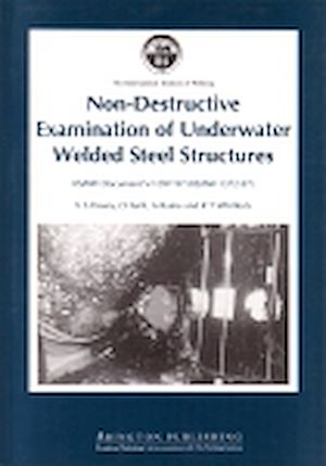 Download the eBook: Non-Destructive Examination of Underwater Welded Structures
