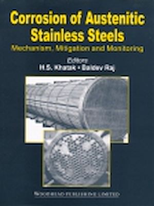 Download the eBook: Corrosion of Austenitic Stainless Steels