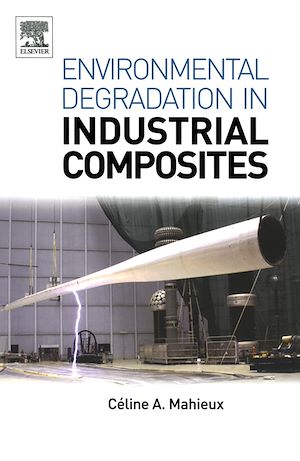 Téléchargez le livre :  Environmental Degradation of Industrial Composites