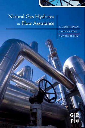 Téléchargez le livre :  Natural Gas Hydrates in Flow Assurance