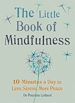 Télécharger le livre :  Journey into Mindfulness