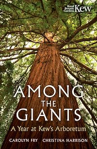 Téléchargez le livre :  Among the Giants