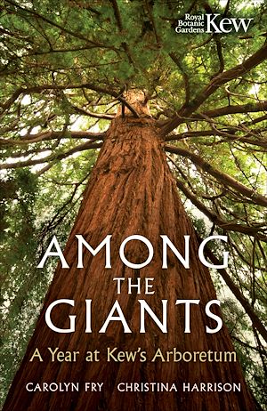 Téléchargez le livre :  Among the Giants