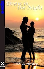 Télécharger le livre :  Draw in the Night