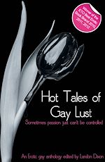 Télécharger le livre :  Hot Tales of Gay Lust