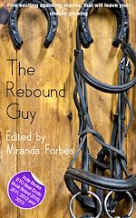 Télécharger le livre :  The Rebound Guy