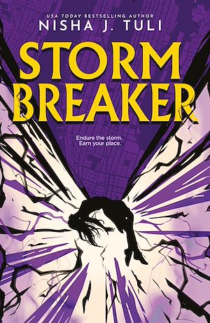 Téléchargez le livre :  Storm Breaker