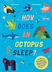 Télécharger le livre :  How Does An Octopus Sleep?
