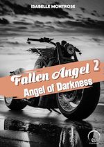 Télécharger le livre :  Angel of Darkness