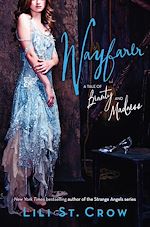 Télécharger le livre :  Wayfarer