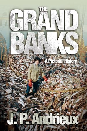 Download the eBook: The Grand Banks