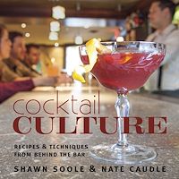 Téléchargez le livre :  Cocktail Culture