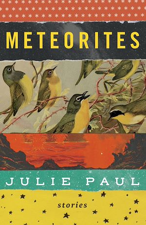 Download the eBook: Meteorites