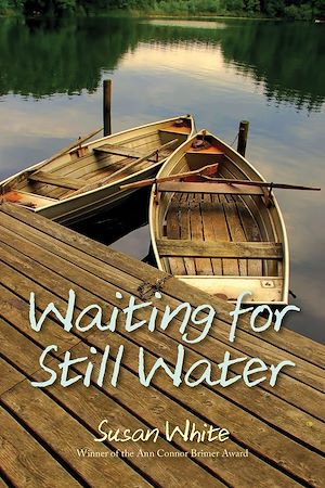 Download the eBook: Waiting for Still Water