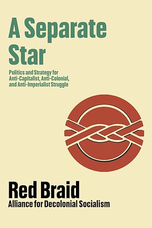 Download the eBook: A Separate Star