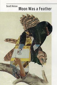 Téléchargez le livre :  Moon Was a Feather