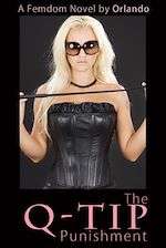 Télécharger le livre :  The QTip Punishment