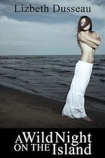 Télécharger le livre :  A Wild Night On The Island & Other Stories