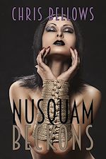 Télécharger le livre :  Nusquam Beckons