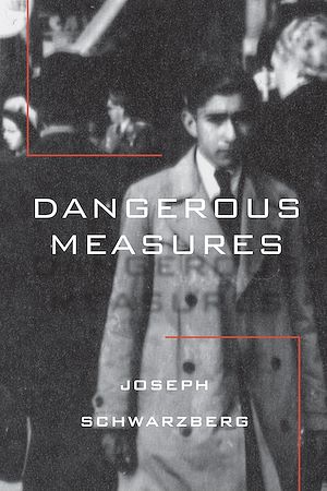 Téléchargez le livre :  Dangerous Measures