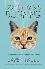 Télécharger le livre :  Something's Burning