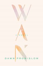 Download this eBook Wan