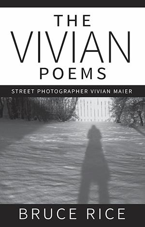 Download the eBook: The Vivian Poems