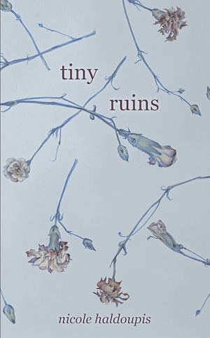 Download the eBook: Tiny Ruins