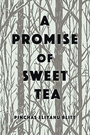 Téléchargez le livre :  A Promise of Sweet Tea