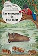 Télécharger le livre :  Les sauvageons du Bois-Sabot