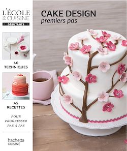 Télécharger le livre :  Cake design pour débutant