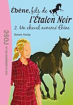 Télécharger le livre :  Ébène, fils de l'Étalon Noir 02 - Un cheval nommé Ébène