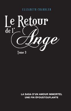 Télécharger le livre :  Le Retour de l'ange 3