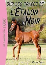Télécharger le livre :  L'Etalon Noir 07 - Sur les traces de l'Étalon Noir