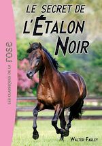 Télécharger le livre :  L'Étalon Noir 09 - Le secret de l'Étalon Noir