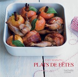 Télécharger le livre :  Plats de Fêtes