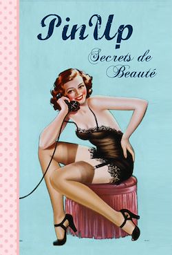 Télécharger le livre :  Pin Up