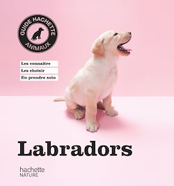 Télécharger le livre :  Labradors