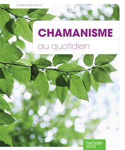 Télécharger le livre :  Chamanisme